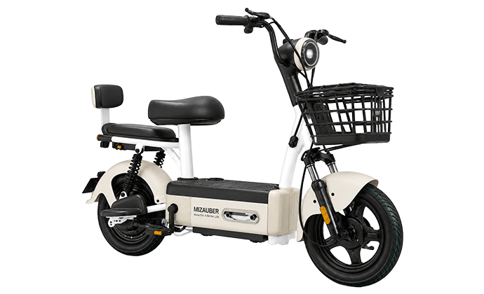 MIZAUBER C311