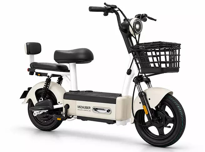 MIZAUBER C311