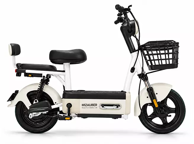 MIZAUBER C311