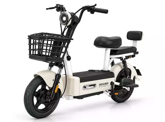 MIZAUBER C311