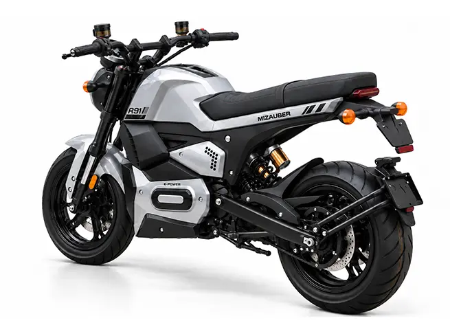 MIZAUBER R91
